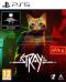 Stray