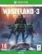 Wasteland 3