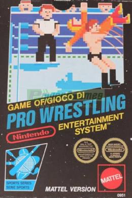 Pro Wrestling