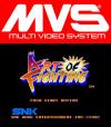 Art of Fighting (Ryuuko no Ken)