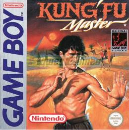 Kung Fu Master
